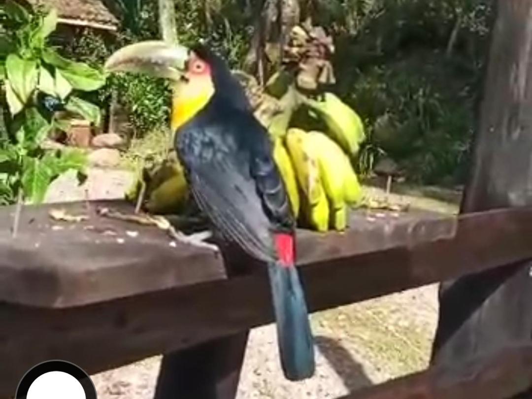 Chale Espelhado No Itaimbezinho Vila Praia Grande  Exterior foto